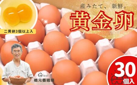卵 たまご 産みたて新鮮卵 30個入り ※二黄卵3個以上入り！ | 卵 たまご 玉子 鶏卵 新鮮 濃厚 生卵 赤玉たまご 目玉焼き オムレツ 健康 産地直送 人気 二黄卵 卵 ※沖縄・離島への配送不可【aubless003】