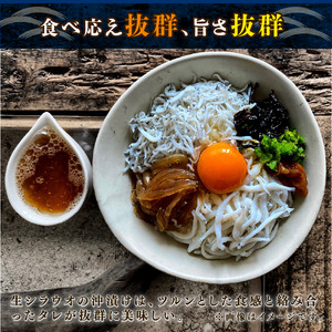 生シラウオの沖漬け600g(100g×6P)【配送不可地域：離島】【1214804】