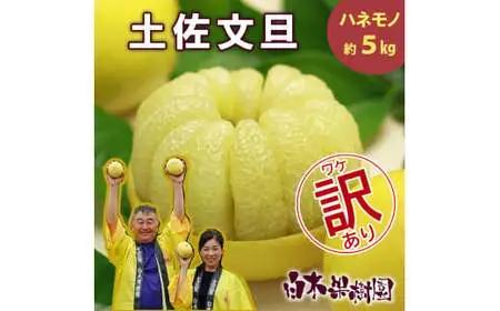【先行予約】【訳あり】土佐文旦 B級品 (約7?13個入り) 約5kg 高知県土佐市 【株式会社SHIRAKI】 [BQAI013]