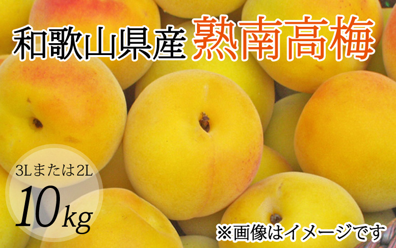 【梅干・梅酒用】（3Lまたは2L－10Kg）熟南高梅＜2027年6月上旬～7月上旬ごろに順次発送予定＞【art009C】