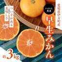 【ふるさと納税】【先行予約】いのうえ農園の早生みかん 3kg｜柑橘 みかん ミカン 蜜柑 フルーツ 果物 産地直送 ※離島への配送不可 ※2024年11月中旬頃より順次発送予定