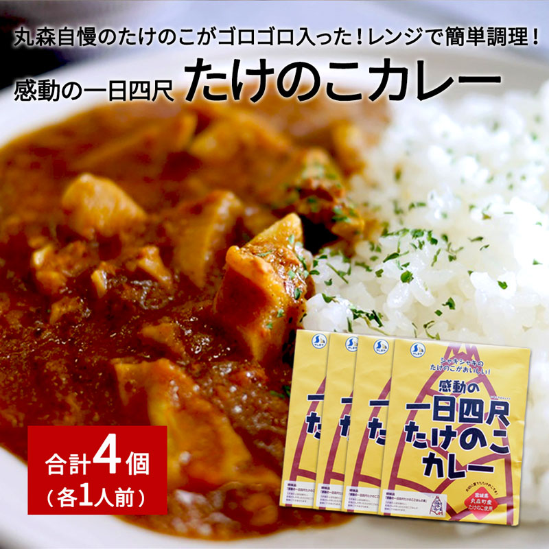 たけのこカレー1人前×4個セット【66001AA0101】