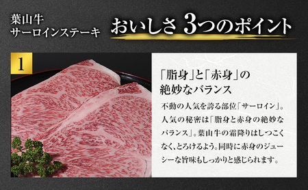 葉山牛サーロインステーキ黒毛和牛冨士屋牛肉店葉山牛【約250g×2枚】