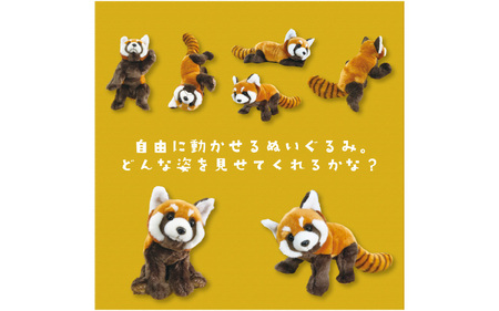 ともだちになれるぬいぐるみ！【ANI-PAL アニ・パル】（カメレオン　小）