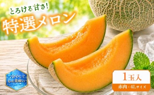 特選 メロン 赤肉 1玉 4L 数量限定 果実 新鮮 くだもの めろん 品種おまかせ 赤肉 ホノカ レノン 赤肉メロン 品種 おまかせ フルーツ 果物 期間限定 フルーツ 季節限定 果物 産地直送 旬 果物 滋賀県 竜王町 ギフト 贈り物 プレゼント 送料無料 竜王 令和8年 甘い あまい おいしい メロン めろん 2026年