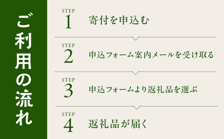 ＼あとから選べる ／花・観葉植物カタログ 4万円分 オンライン 有効期限なし 後から選べる 植物 グリーン 花 お花 胡蝶蘭 オンラインカタログ 後から 体験 チケット インテリア 愛知県 豊橋市