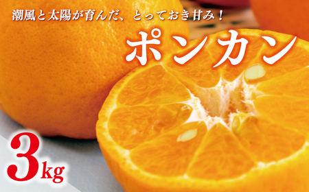 【愛南産ポンカン】冬の柑橘ポンカン 3kg