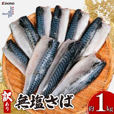ふるさと納税 銚子市 【無塩】訳あり　ノルウェーさば　1kg