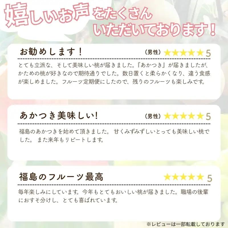 福島のフルーツ４種定期便（もも・梨・ぶどう・りんご）【2027年発送】No.2339 