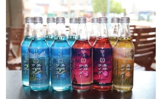 
            美瑛物産公社　美瑛サイダー１０本セット[010-13]
          