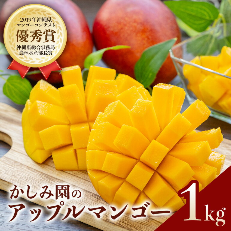 【ふるさと納税】【 先行予約 2026年 発送 】 優秀賞受賞のかしみ園 アップルマンゴー 1kg 沖縄県産 マンゴー アーウィンマンゴー 1キロ 国産 完熟マンゴー 果物 南国 くだもの フルーツ 完熟 夏 旬 特産品 沖縄 お取り寄せ 産地直送 農家直送 甘い 濃厚 糸満市 送料無料