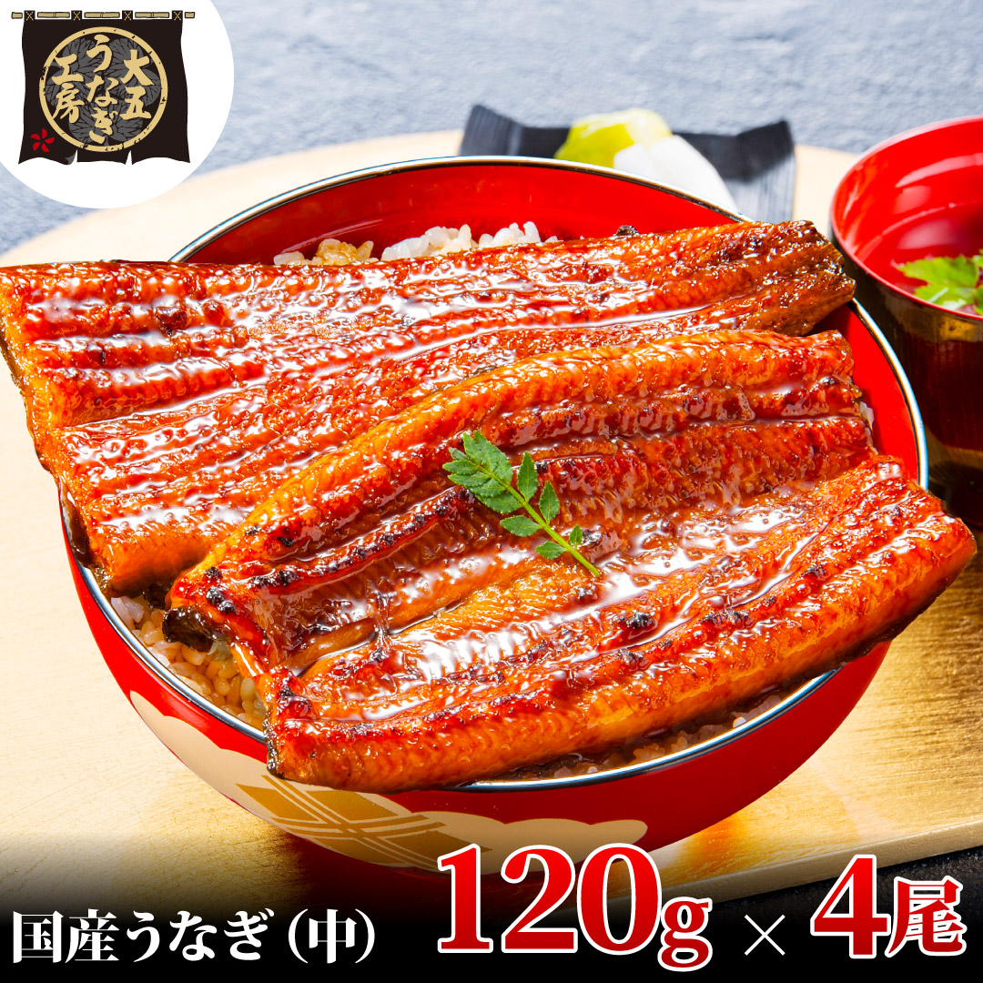 【期間限定9月30日までの特別価格！】うなぎ蒲焼 120g×4尾(480g) うなぎ ウナギ 鰻 蒲焼 蒲焼き冷凍 国産 大五 大五通商 静岡 島田市