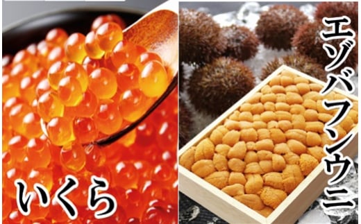 E-40022【12/14まで年内配送】 エゾバフンウニバラ詰め150g×1折、いくら醤油漬け150g×1P[11月下旬以降発送]