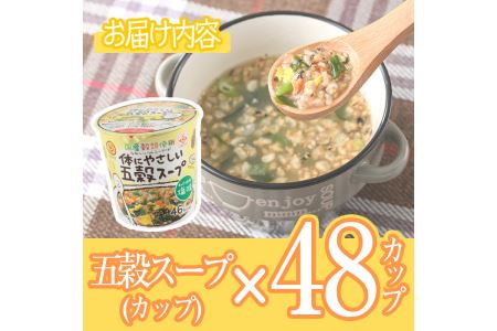 No.518 あっさり和風塩味♪カップ体にやさしい五穀スープ(13g×48個)国産 鹿児島 日置市 特産品 特産 インスタント 常備食 低カロリー ヘルシー 健康 玄米 黒豆 もち粟 もちきび 小豆 