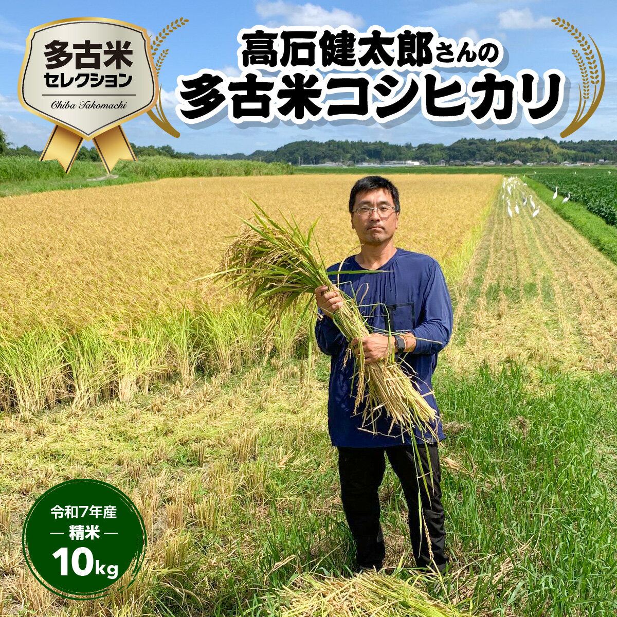 【ふるさと納税】多古米セレクション　高石健太郎さんの多古米コシヒカリ　精米10kg　令和7年産【配送不可地域：離島】多古米 コシヒカリ 白米 精米 千葉県産 多古町【TAKF036】