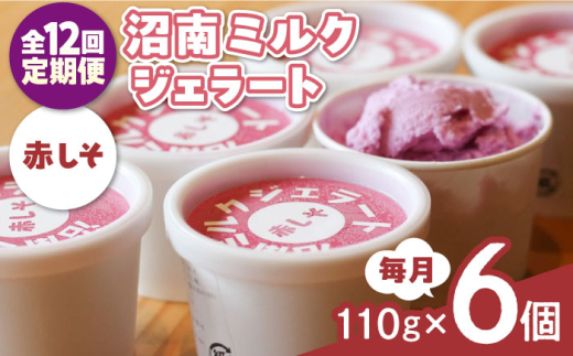 【全12回定期便】アイス 沼南ミルクジェラート 赤しそ ６個 赤しそアイスクリーム セット ジェラート デザート スイーツ ご当地 グルメ お取り寄せ 冷凍 贈答 贈り物 ギフト 濃厚 さっぱり ミルク 新鮮 特産品 美味しい おいしい こだわり 爽やか 酸味 香り 贅沢 しそ 早摘み ゆかり カップアイス 珍しい 夏 冬 食後 おやつ 定期便 広島県福山市/甚ごろう [BAEC041]