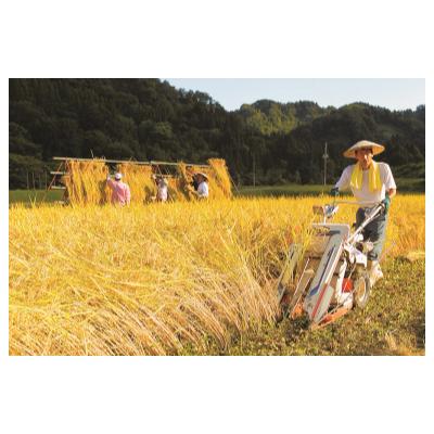 ふるさと納税 十日町市 【令和6年産】絶品米　天日干し有機JAS認証魚沼産コシヒカリ4kg(2kg×2袋) |  | 03