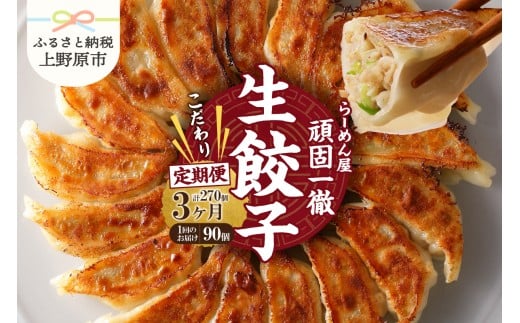 【3ヶ月定期便】一徹堂・冷凍生餃子(30個)3パック
