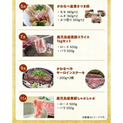 ふるさと納税 南九州市 【全6回】道の駅川辺やすらぎの郷 厳選!お肉の定期便 |  | 03