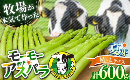 【先行予約・25年6月以降発送】モーモーアスパラ夏芽 L・M 600g 食べやすい太さの2種セット 600g / アスパラ/ アスパラ/ アスパラ/ アスパラ/ アスパラ/ アスパラ / 日田市 / 有限会社本川牧場[ARAI037]