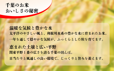 無洗米 千葉県産 コシヒカリ 2kg 米 根本商店