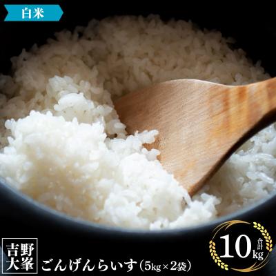 ふるさと納税 吉野町 【令和7年産先行受付】吉野大峯ごんげんらいす5kg×2袋