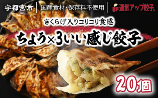 
宇都宮餃子 ちょう×3いい感じ餃子 20個 保存料不使用【 餃子 ぎょうざ 冷凍餃子 冷凍食品 惣菜 栃木県 宇都宮市 】※配送不可地域：離島
