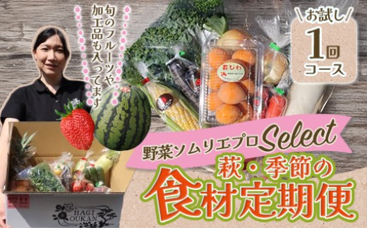 
                  野菜ソムリエプロselect／萩・季節の食材セット 定期便お試し1回コース
                