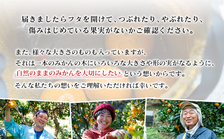 【先行予約】＜無茶々園の伊予柑 約7kg＞ 果物 いよかん イヨカン みかん ミカン 蜜柑 柑橘 フルーツ 選べる内容量 期間限定 季節限定 特産品 愛媛県 西予市