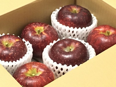 【2026年先行予約】【定期便3ヶ月】旬のりんご ｜ りんご