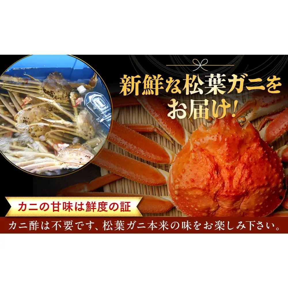 【ボイル】タグ付き 松葉ガニ  特大1枚（900g～1kg前後）  | 松葉 カニ 訳あり活 特大 美味しさに 訳あり 不揃い でないたっぷり 【着日指定不可】　※2026年11月上旬～2027年3月