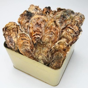 【発送時期が選べる】魚介類 牡蠣 / 山口水産の能登かき / 殻付き半缶[殻付き約35～40個]◇ | 訳あり 生活応援価格 ご家庭用 石川県 七尾市  ※2026年1月中旬～5月中旬頃に順次発送予定