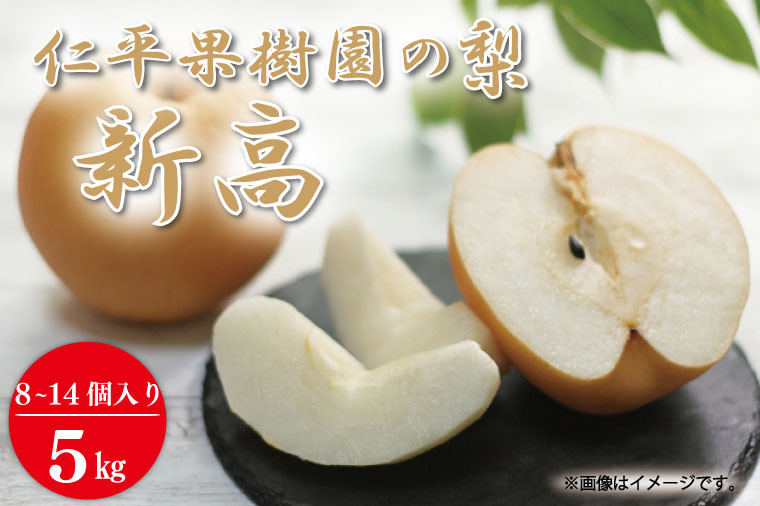 
            ★先行予約★ 【2026年9月発送】仁平果樹園の梨 「新高」5kg (8個～14個) (9月下旬より順次配送) | 果物 新鮮 フルーツ ギフト 梨 ナシ 益子町産梨 甘い あまい 糖度11.5以上 糖度保証 果汁 果肉 栃木県 益子町 (DB004)
          