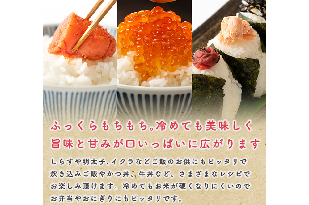 《定期便12ヶ月》令和7年産 新米 【無洗米】 あきたこまち 5kg