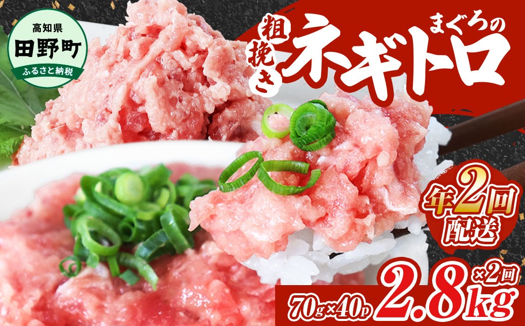 
                  まぐろのネギトロ 2,800g（70g×40パック）×年2回配送 ねぎとろ 鮪 マグロ キハダマグロ まぐろたたき 粗挽き 小分け パック 海鮮 魚介 便利 高知県 田野町 ～四国一小さなまち～ ≪カネアリ水産≫ 
                