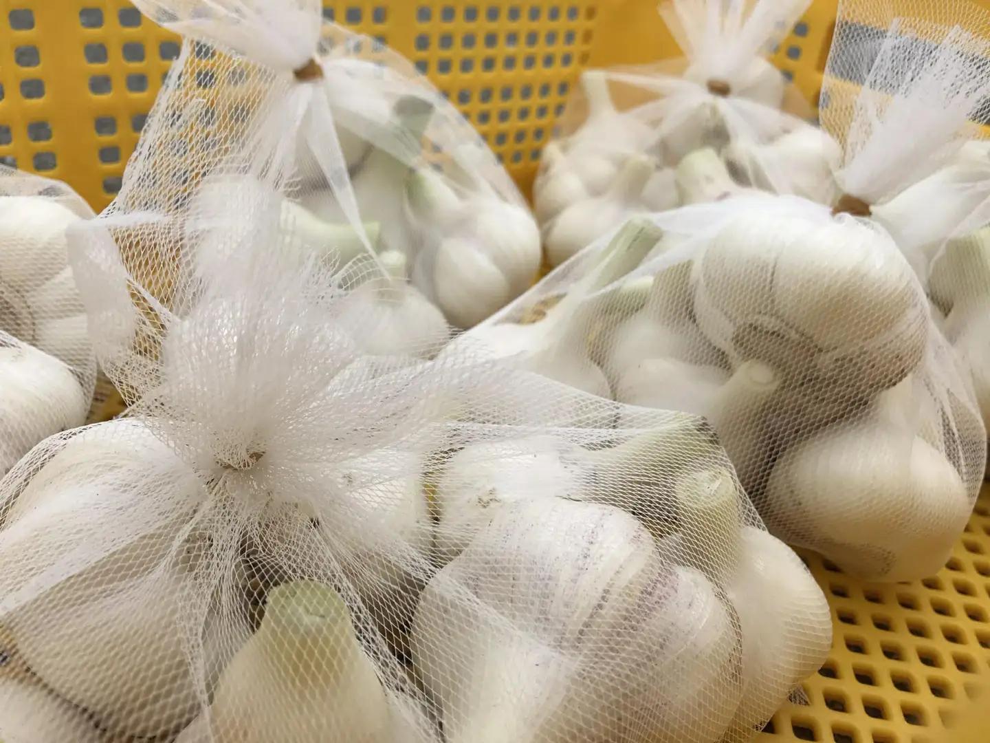 飛騨産 にんにく 500g ニンニク【7月中旬から12月発送】水村農園