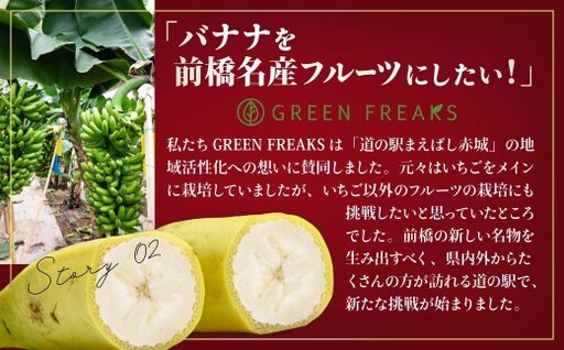 バナナ 桐箱入り 国産高級バナナ 贈答用５本入り