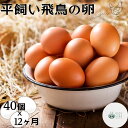 定期便 12ヶ月 美味しい 平飼い 飛鳥の卵 40個 冷蔵 月1回 ／ 古都 風雅 ファーム ふるさと納税 たまご 玉子 鶏 卵 取り寄せ 新鮮 生食 安心 安全 健康卵 飛鳥 チルド 奈良県 宇陀市