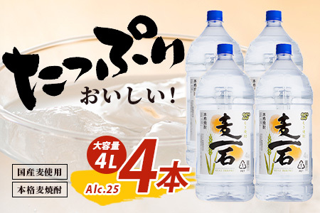 メガボトル4L×4本！ 純 麦焼酎【麦一石】4L エコペット 25度 計16L 焼酎 蔵元直送 16リットル パーティサイズ 麦 酒 麦麹 焼酎 大容量 熊本 球磨 焼酎 多良木町 040-0588