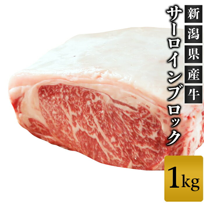 【ふるさと納税】牛肉 ブロック 76-69B新潟県産牛（長岡産）サーロイン1kgブロック