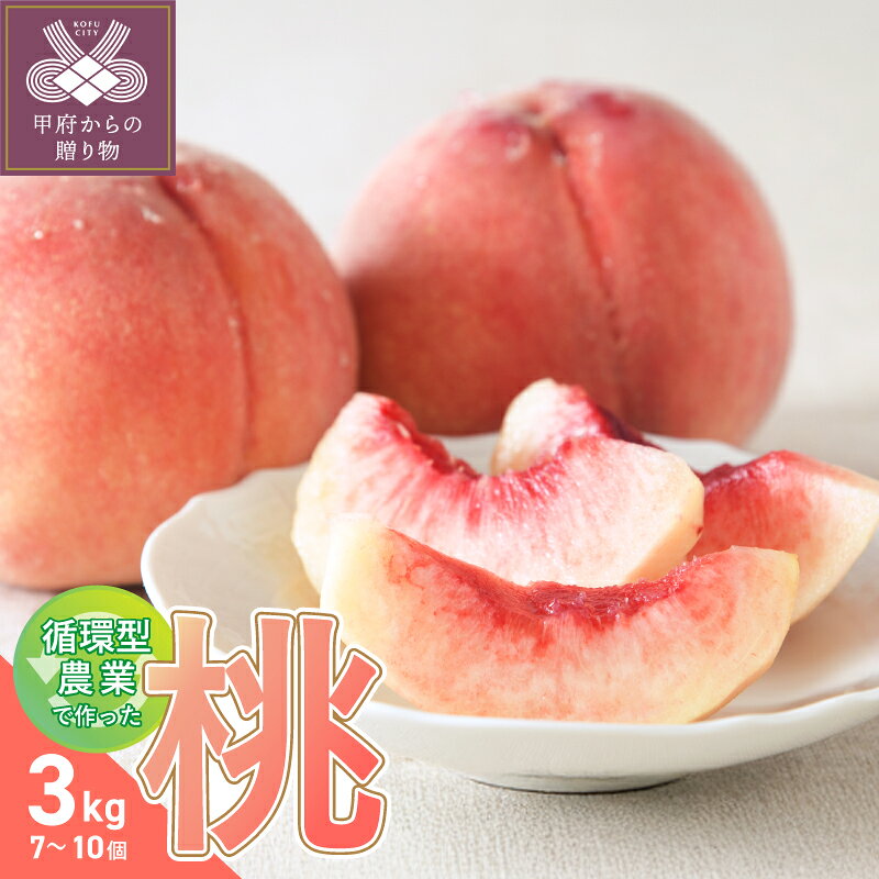 【ふるさと納税】 桃 ピーチ 山梨県産 甲府市産 自然塾 3kg 7〜10個 特別栽培 冷蔵 2026年6月下旬～8月中旬順次発送 期間限定 数量限定 k280-005