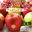 【ふるさと納税】 特選 (大玉) 青森産 完熟 りんご 約3kg サンふじ 王林 2種セット 【誠果園】 青森りんご リンゴ 林檎 アップル あおもり 青森 青森県 南部町 三戸 南部 澁川賞受賞 果物 くだもの フルーツ F21U-219