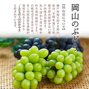 【2025年発送】岡山県産　ニューピオーネ4房(1房480g以上・合計約2kg)【配送不可地域：離島・北海道・沖縄県】【1281357】