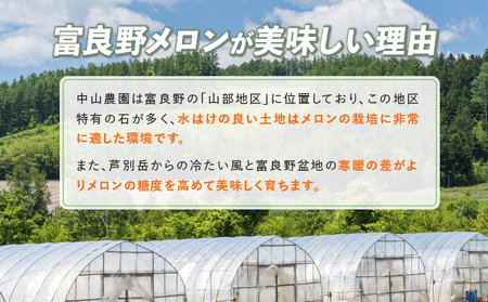 メロン 富良野産 赤肉メロン 大玉 メロン【1玉 1.6kg以上】