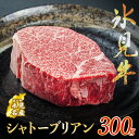 【ふるさと納税】 氷見牛 シャトーブリアン 300g | 氷見牛 牛肉 シャトーブリアン 冷凍 人気 高級 ブランド牛 国産 ステーキ ヒレ フィレ 黒毛和牛 バーベキュー 希少 精肉店 ギフト 富山 氷見