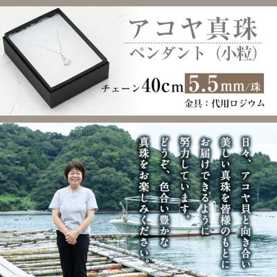 ふるさと納税 佐伯市 アコヤ真珠 小粒 ペンダント (5.5mm珠・チェーン40cm) |  | 03