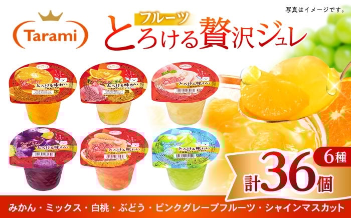 
            とろける味わい 200g 6種×各6個 計36個セット(みかん・ミックス・白桃・ぶどう・ピンクグレープフルーツ・シャインマスカット) [AHBR040]
          