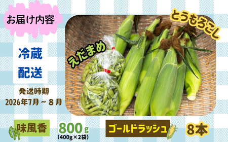 とうもろこし（ゴールドラッシュ）と枝豆セット《2026年7月上旬頃より出荷予定》木内ファーム_とうもろこし Ca-005