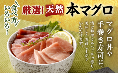 厳選天然本マグロ中トロ 赤身 食べきり セット ４００ｇ 本まぐろ 100% 冷凍 刺身 海鮮 丼 _ge010