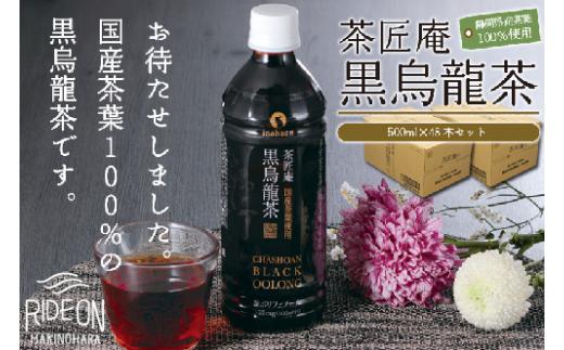 静岡県産 黒烏龍茶 計48本 500ml × 24本 2ケース ペットボトル 黒ウーロン茶 国産 ポリフェノール配合 いなば園 ウーロン茶 牧之原市 お茶